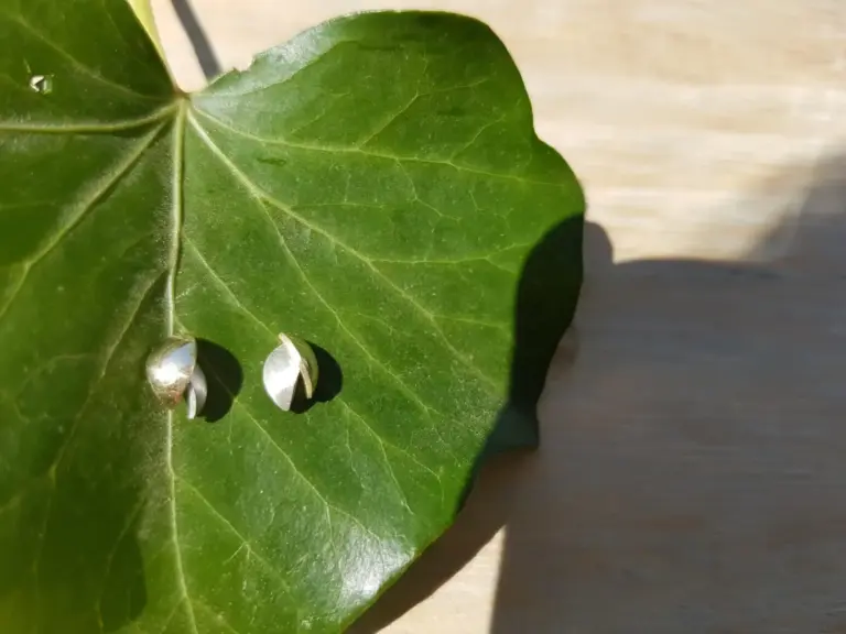 Close-up of a vibrant green ivy leaf with visible veins, shadowed on the right side, placed on a light-colored wooden surface.