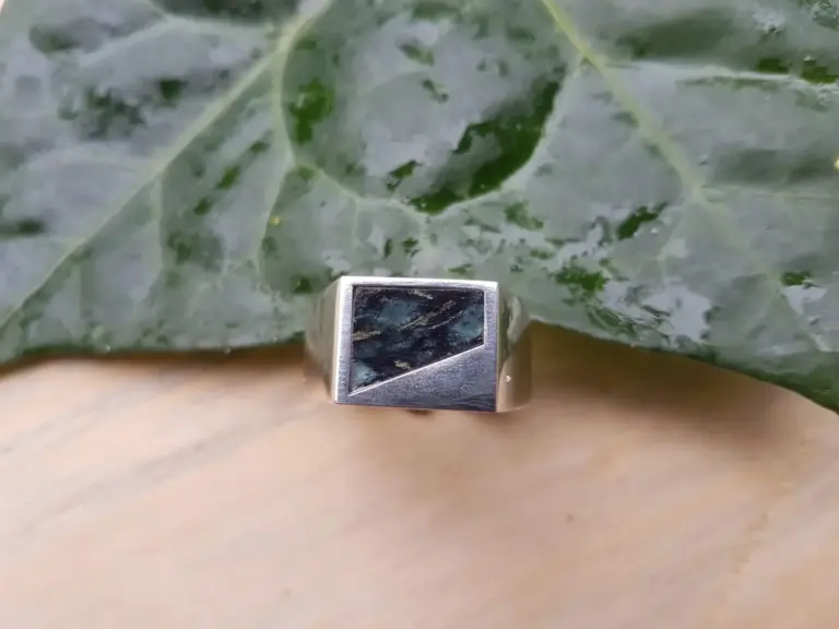 Close-up of a metal device with a dark stone embedded on top, resting on a green leafy plant.