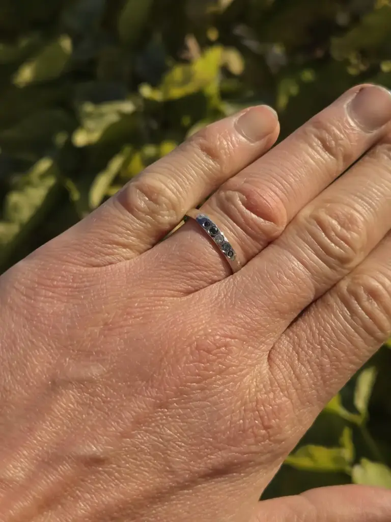 Close-up of a hand wearing a silver ring with black stones, with a background of leafy greenery.