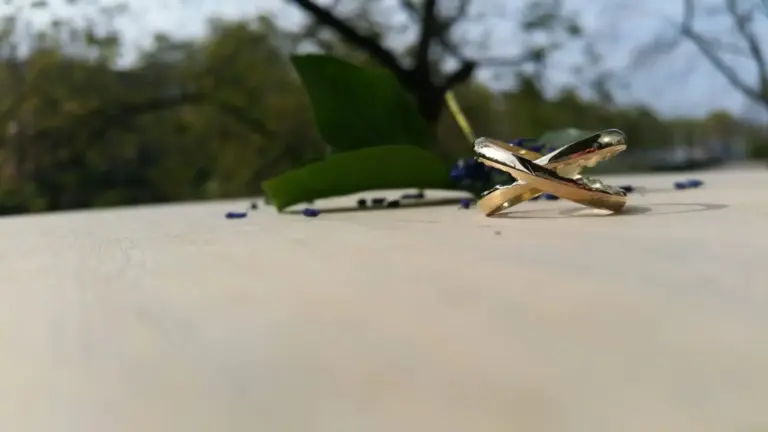 Close-up of a metallic butterfly-shaped object on a white surface with green leaves and blurred outdoor background.
